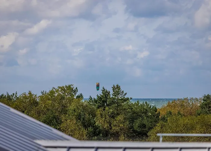 Daire Kapitono Tiltelis Palanga