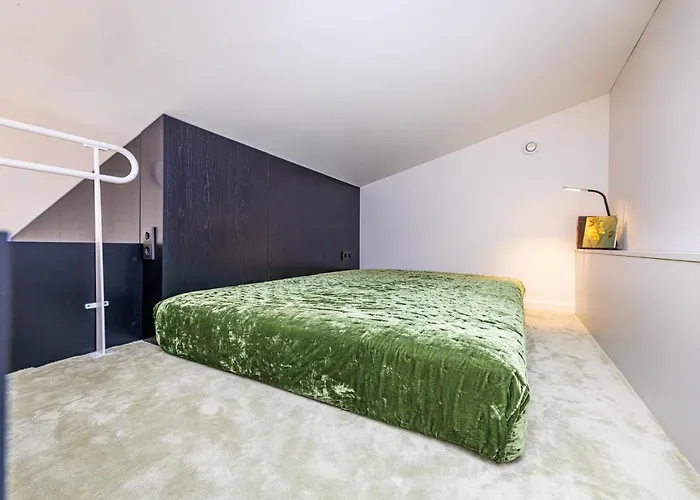 Daire Kapitono Tiltelis *