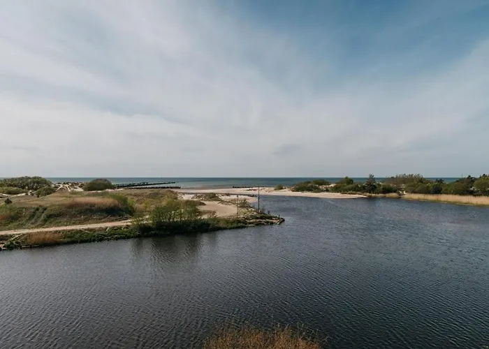 Daire Kapitono Tiltelis *