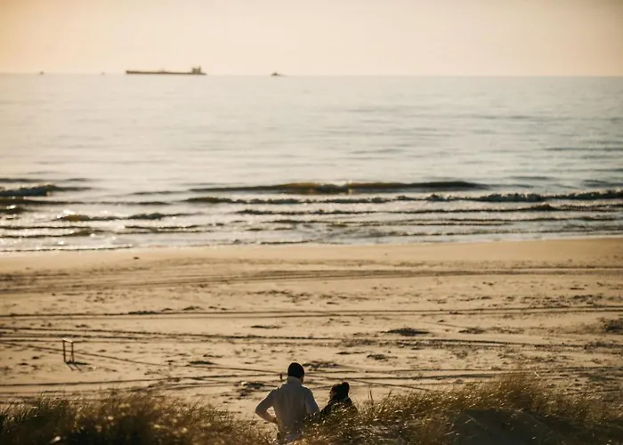 Daire Kapitono Tiltelis